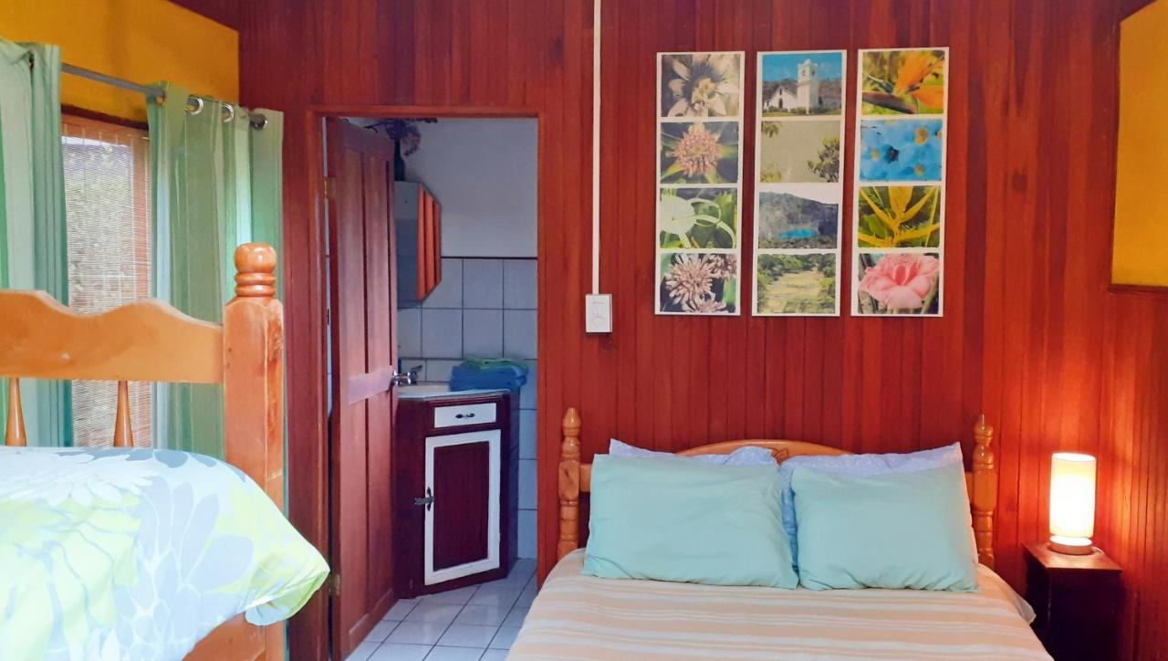 Montana Linda Guest House Orosí Exterior foto