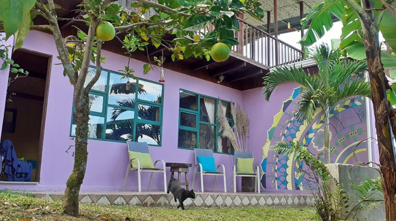Montana Linda Guest House Orosí Exterior foto